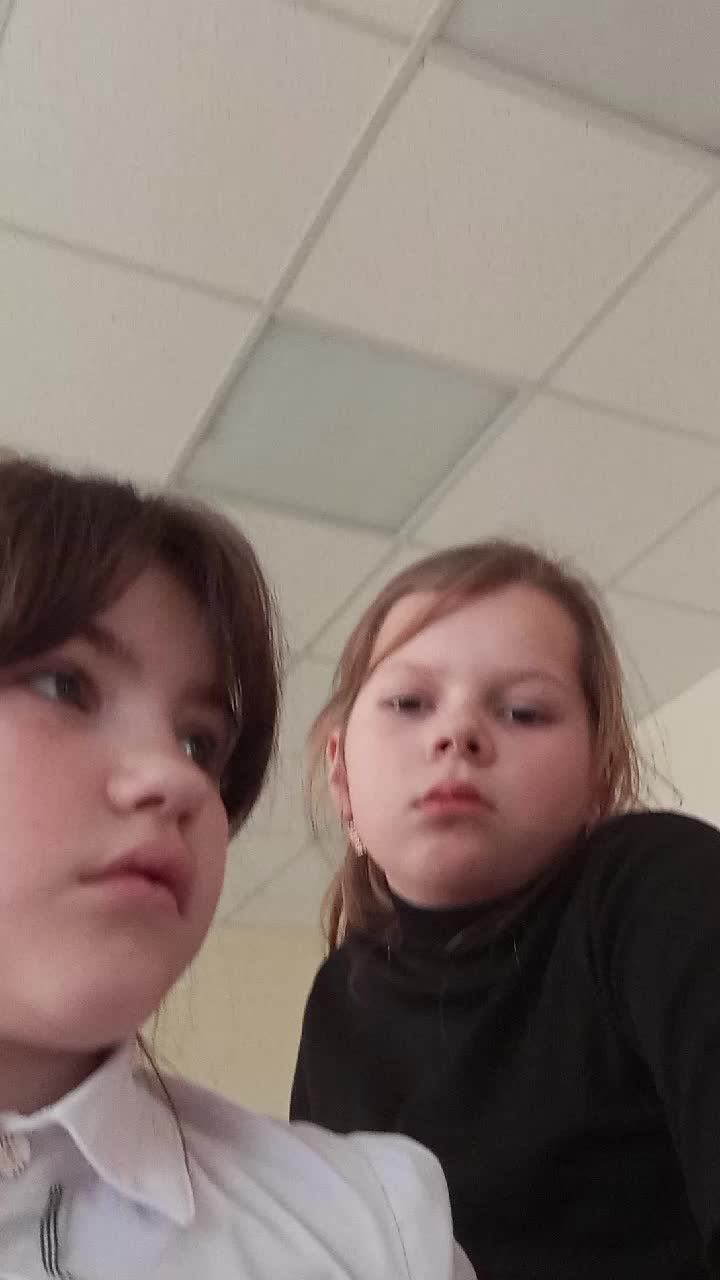 две какашки