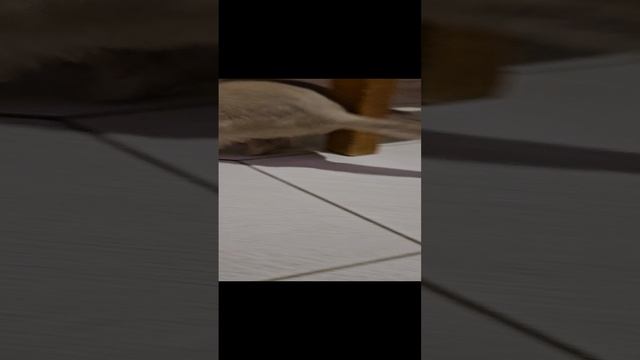 1000096683.mp4