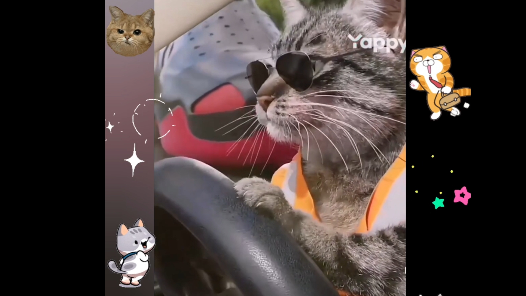 КОТ ГОНЩИК УХОДИТ ... от ПОГОНИ