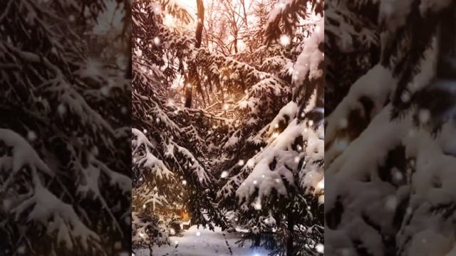 Новогоднее желание❄️❄️❄️