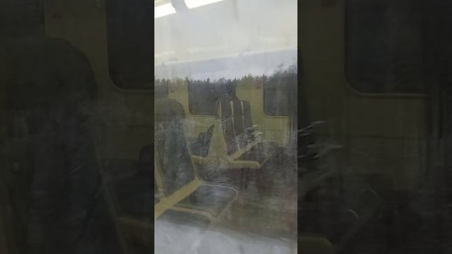 scene_output.mp4