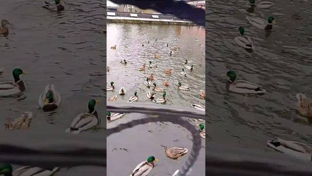 1000001447.mp4