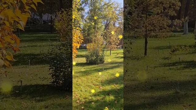 Мудрые слова.