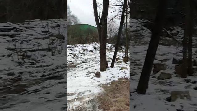 Одинцово (Яскино)