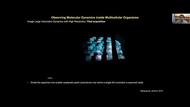 OIG-ABG- Lecture 13- "Introduction to lattice light sheet microscopy"