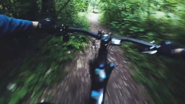 Rooty downhill out of Stansted on the focus jam2 ebike