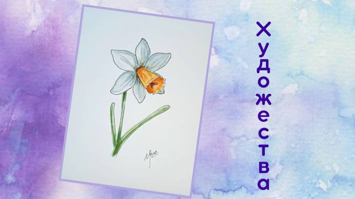 Нарцисс