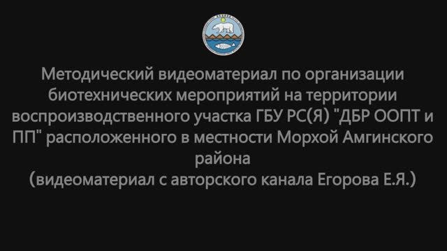 Биотехнические мероприятия в воспроизводственном участке «Морхой»