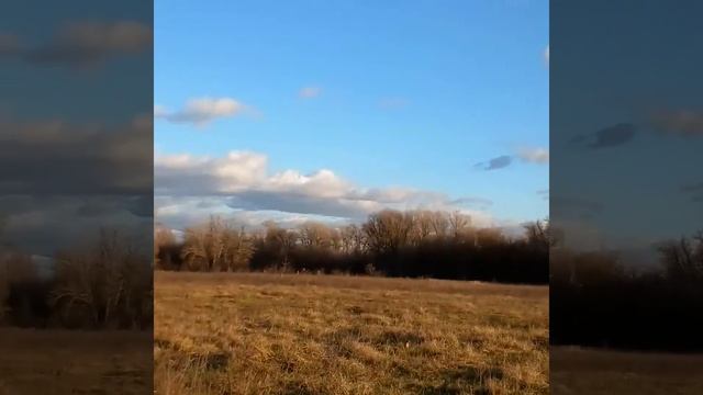 Местность