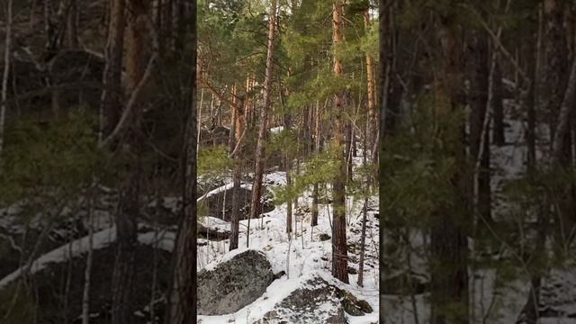 11-12-2024 Белакуриха