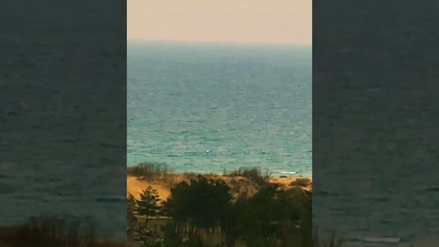 YouCut_20241211_084440934.mp4