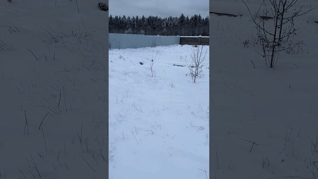 Участок 11.3 сотки с отличным фундаментом в дер. Марино, рядом с г.Александров, Владимирская обл.