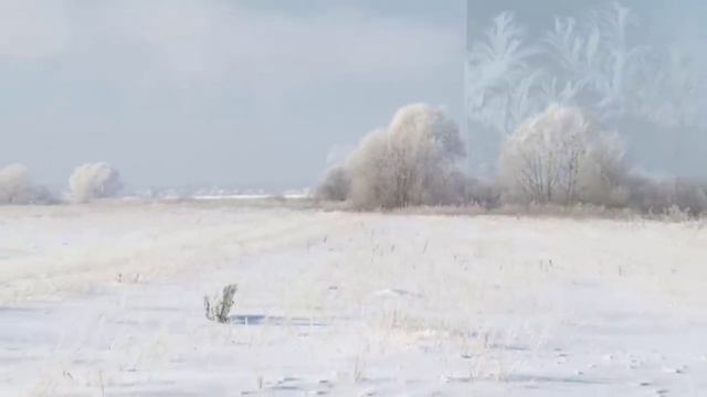 СЕРГЕЙ ЕСЕНИН.  "  Я ПО ПЕРВОМУ СНЕГУ БРЕДУ... "  ( видеоклип)