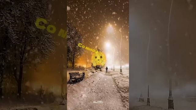 1000072326.mp4