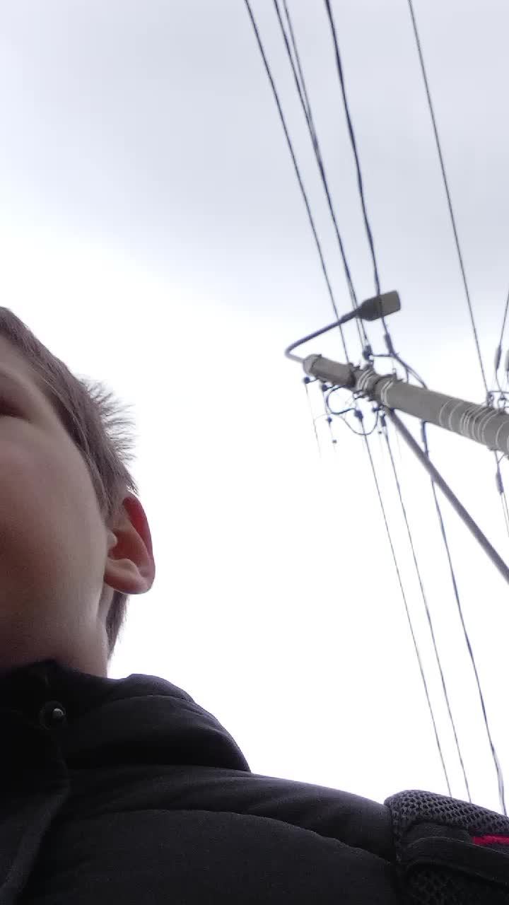 подписчики