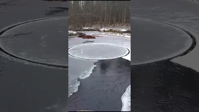 В Новгородской области на водоемах заметили «идеально ровные окружности