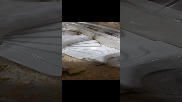 1000001511.mp4
