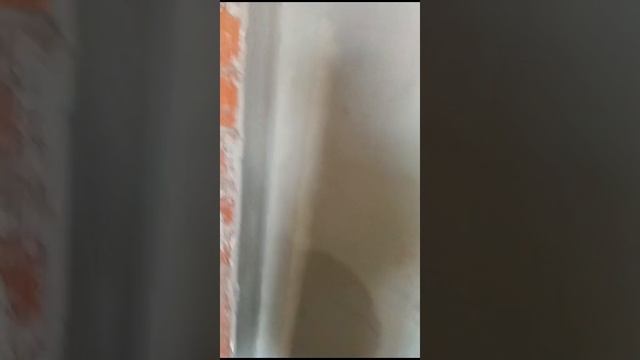 WhatsApp Video 2024-12-11 at 14.44.51