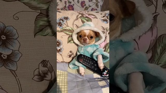 7087e7fb0ace8c40db787263f71da4c3.mp4