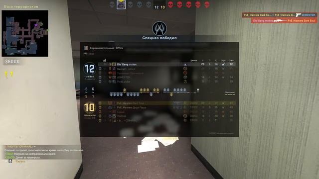 В мире животных