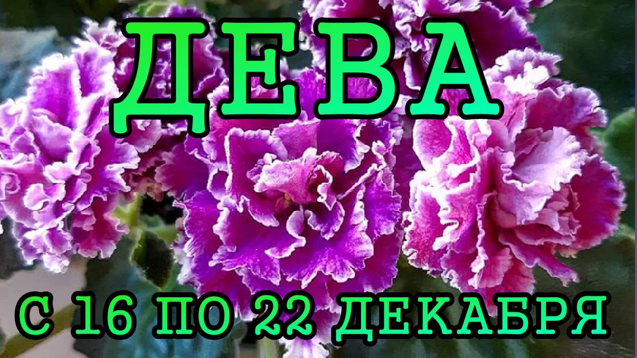 ДЕВА таро прогноз на неделю с 16 по 22 ДЕКАБРЯ 2024 года.