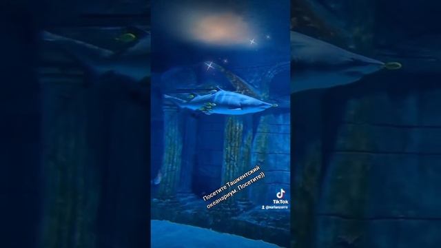 Океанариум в Ташкенте
