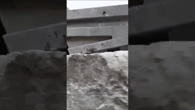 Вот такое тоже бывает, Огромный камень пробил бак😲😲😬😬😬👍👍👍👍