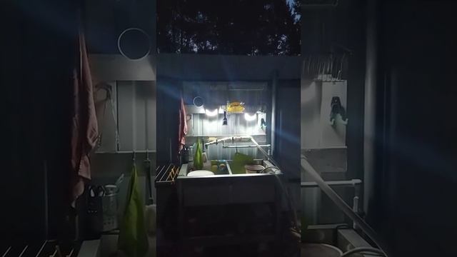 Отзыв №77 ⭐⭐⭐⭐⭐ - Уличный прожектор муляж камеры на солнечной батарее AG Smart