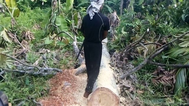 7. Филиппины Лейте Тяжёлая работа