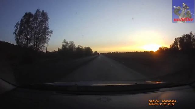 2020-05-16 20_31 - Лиса перебежала через дорогу
