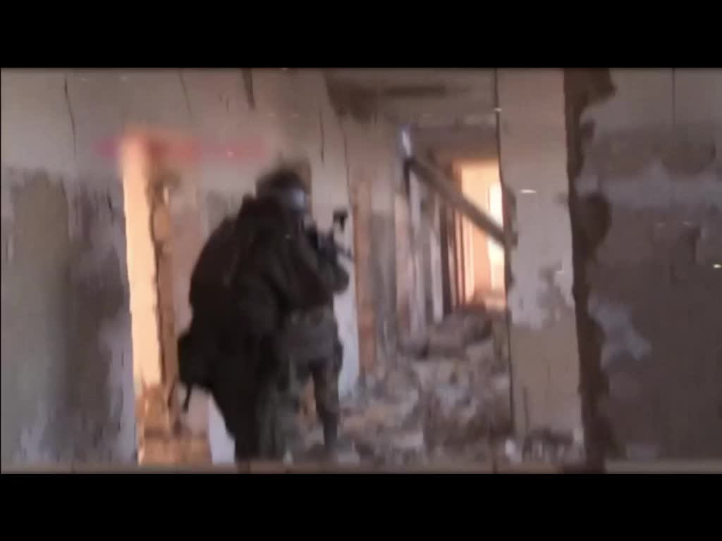 Штурмовые отряды