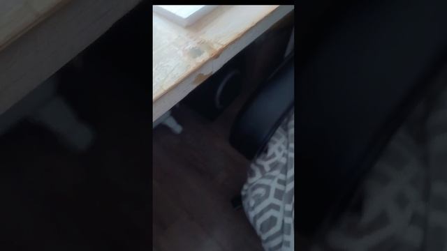 мини Кубок чимпионата мира