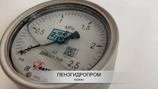 Манометр ДМ8008-ВУф 0-2,5 МПа кт.1,0 d.100IP54 M20*1,5 РШ ВуГл