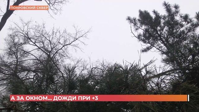 А за окном. 11 декабря 2024