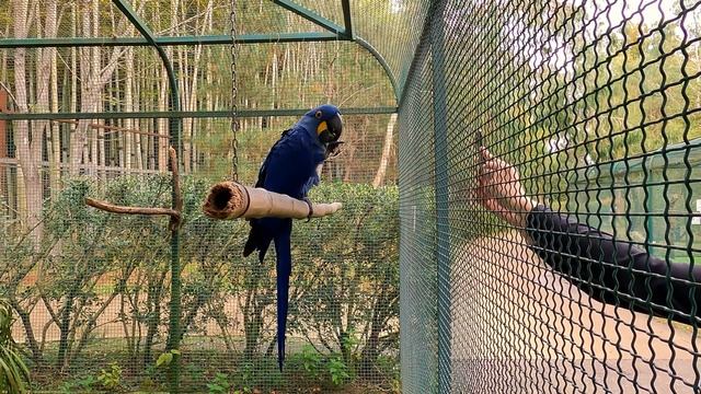 Дендрологический парк Шекветили Пешеходная экскурсия по Грузии