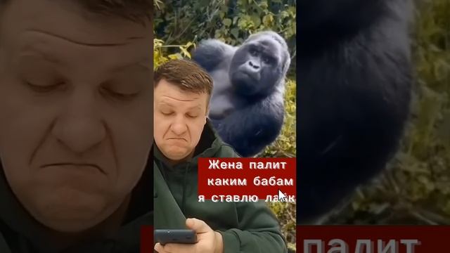 Муж жена 😁
