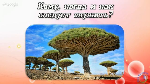 Формула жизни в 21 веке для Богини #11