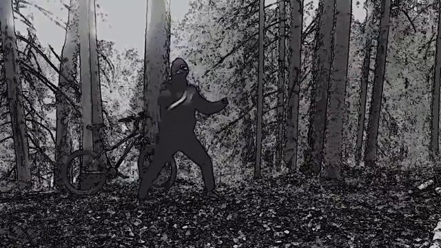 Vlad Shaman =)  Ninja
