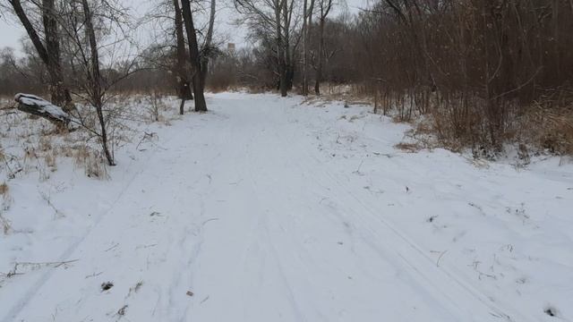 Прогулка по зимнему лесу №1.😊