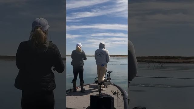 Бесполетная зона