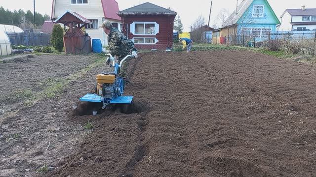 КУПИЛ"ГУСИНЫЕ ЛАПКИ"ПОКАЗЫВАЮ ИХ В РАБОТЕ с МОТОБЛОКОМ НЕВА МБ-2...