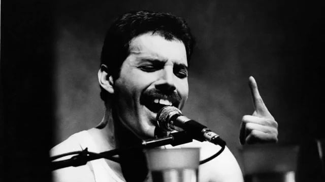 Gallo de Freddie Mercury en Dont stop me now