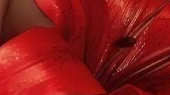 11-12-2024