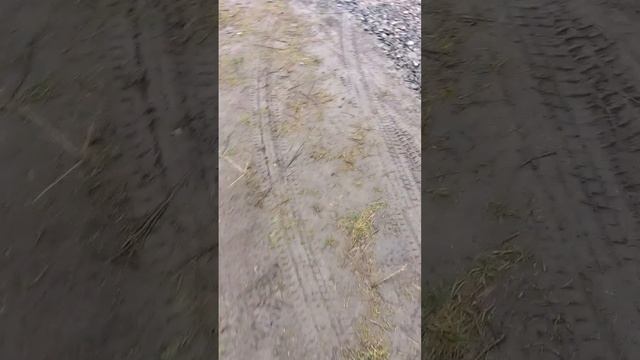 1000062189.mp4