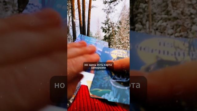 оберег в виде черного кота #гадание #таро #таропрогноз #расклад #эзотерика #aexplorer