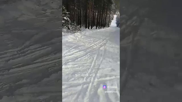 катаемся на лыжах 2024