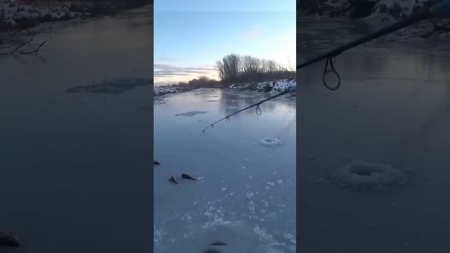 Ловля окуня по первому льду👍

Поклёвки просто шикарные