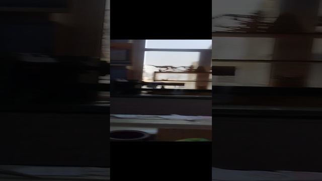 1000041840.mp4