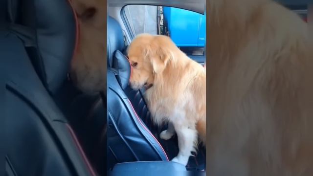 1000023317.mp4