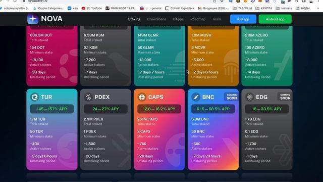 Polkadot (DOT)/Где Стейкать DOT под 23% годовых?